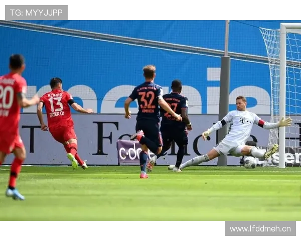 维尔茨：从组织核心到终结者的数据进化分析